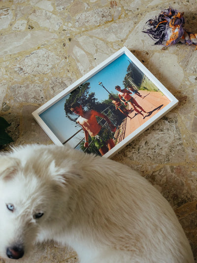 Stanze private fotografie 2023 framed print showing candid lifestyle moment outdoors