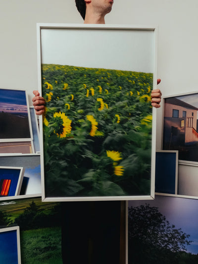 Fotografie girasoli contemporanea framed print showing sunflower field in motion