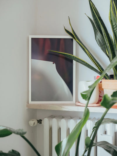 Fotografie natura morta contemporanea framed print styled on shelf with plants