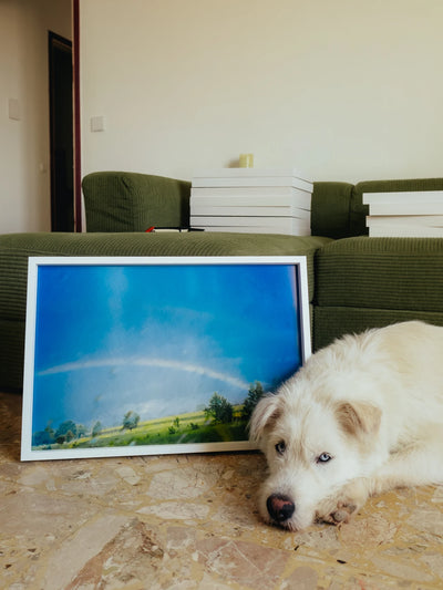 Fotografia paesaggio rurale framed print showing fields and a subtle rainbow