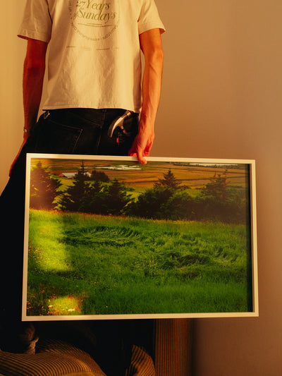 Fotografie bellezza quotidiana framed print showing sunlit green landscape